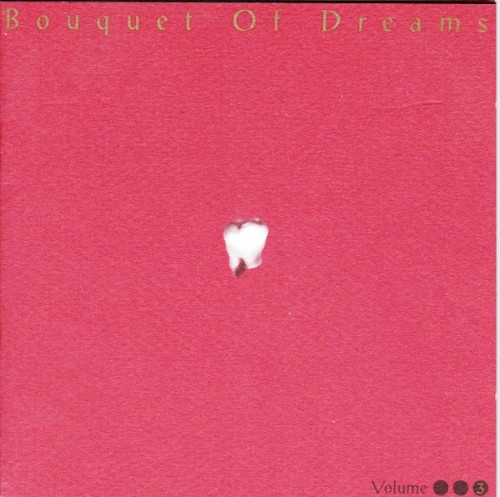 Bouquet of Dreams, Volume 3