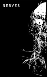 Nerves