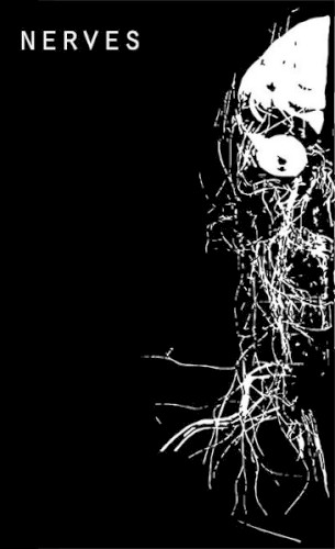 Nerves