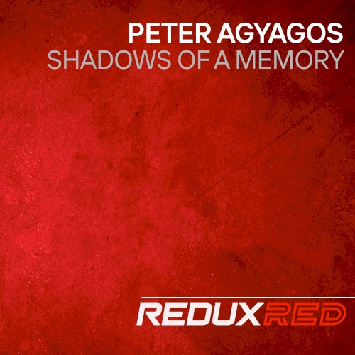 Shadows of a Memory