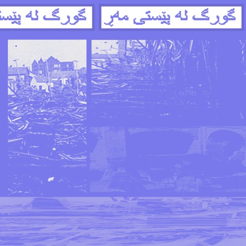 گورگ لە پێستی مەڕ