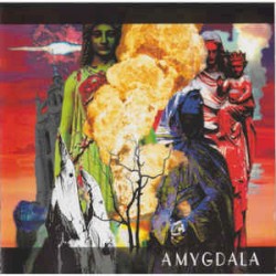 Amygdala