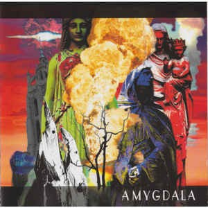 Amygdala