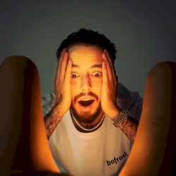 Bofrost Mann