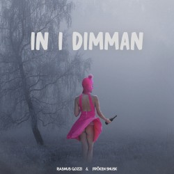 IN I DIMMAN