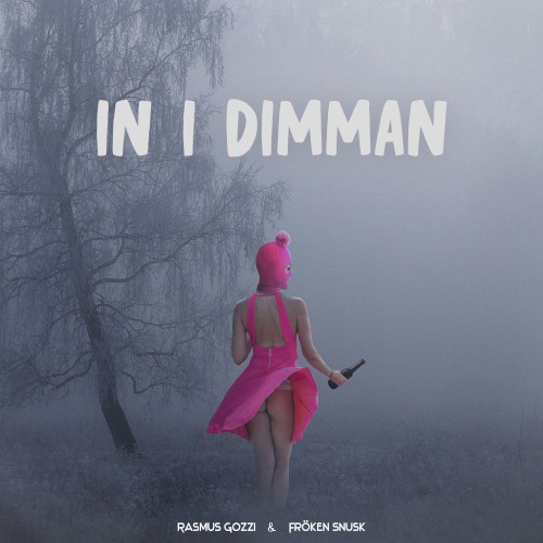 IN I DIMMAN