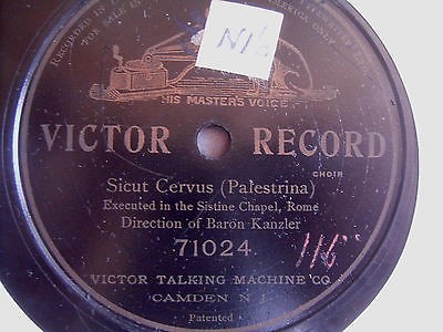 Sicut cervus