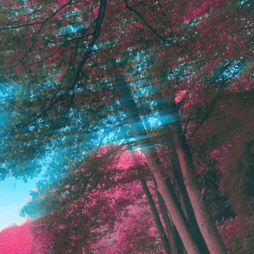 heaventone