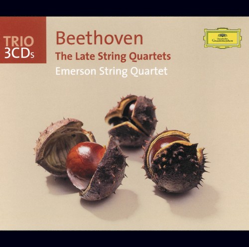 The Late String Quartets