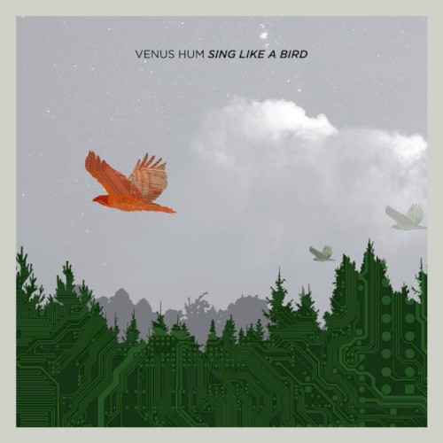 Sing Like A Bird