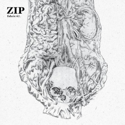 Fabric 67: Zip