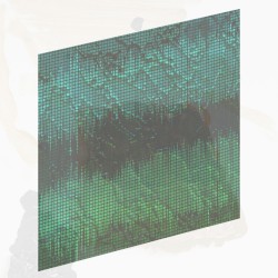 AUDIOFLEX