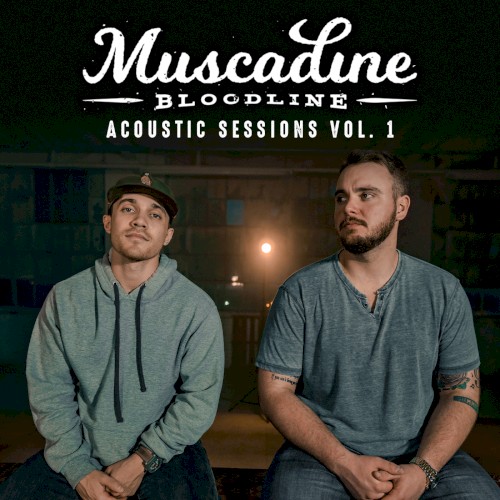 Acoustic Sessions Vol. 1