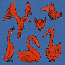 all these crying birds