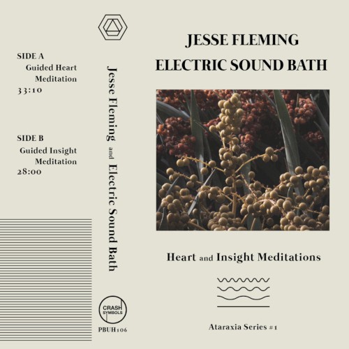 Heart & Insight Meditations