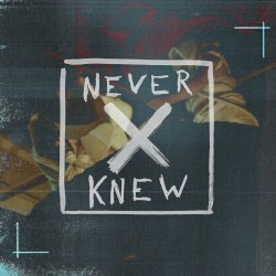 Never Knew