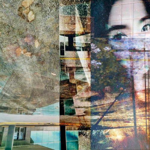 Cyber Dreams, Infinity, and Flux