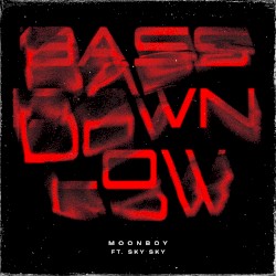 BASS DOWN LOW