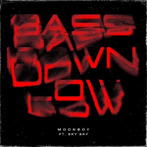 BASS DOWN LOW