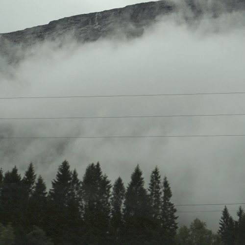 Wandering Mind, Drifting Weather