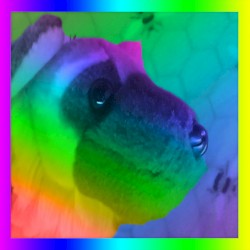 Turn Up the Hue