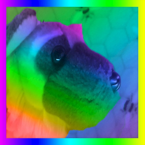 Turn Up the Hue