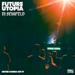Never Gonna Get It