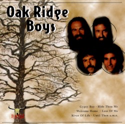 Gypsy Boy