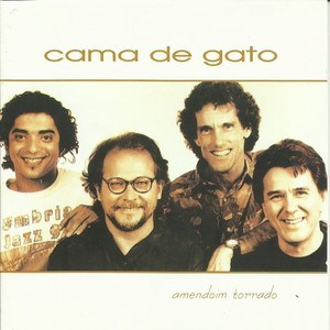Amendoin Torrado