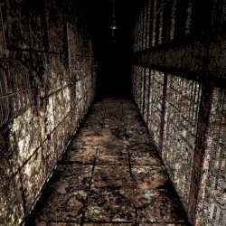Ｔｏｌｕｃａ Ｐｒｉｓｏｎ/Ｔｏｌｕｃａ Ｌａｋｅ
