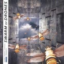 Swarm of Drones