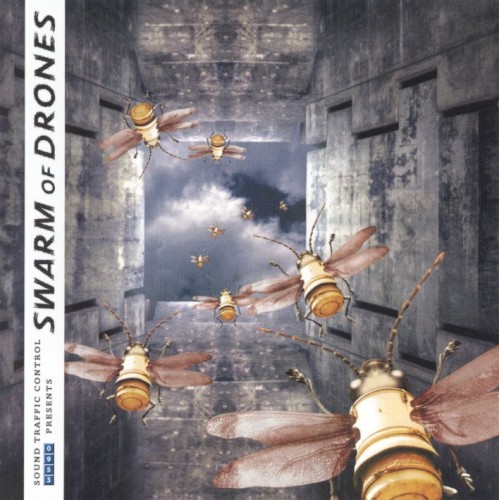 Swarm of Drones
