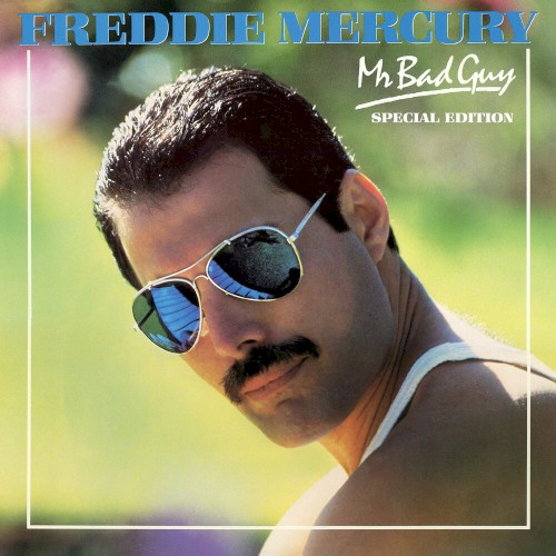 Mr. Bad Guy