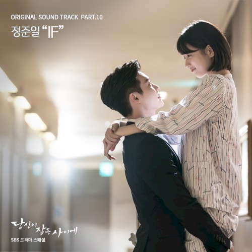 당신이 잠든 사이에 OST Part. 10