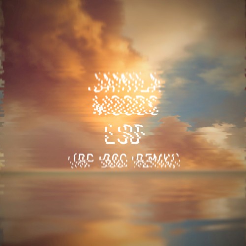 LSD (RP Boo remix)