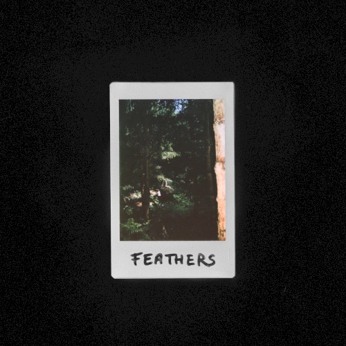 Feathers