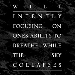 Intently Focusing on Ones Ability to Breathe While the Sky Collapses