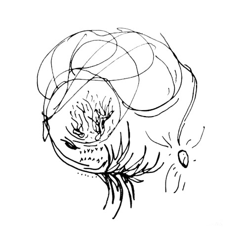 Small Worm Tape