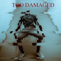 Too Damaged
