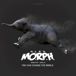 You Can Change the World (Alex M.O.R.P.H. remix)
