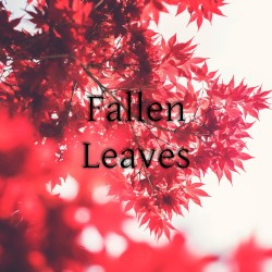Fallen Leaves