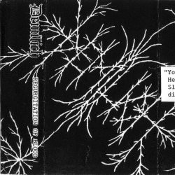 Regurgitation of Blood