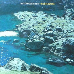 Wildflowers