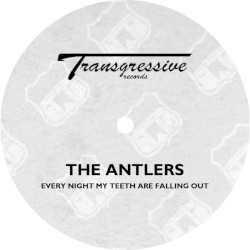 Every Night My Teeth Are Falling Out