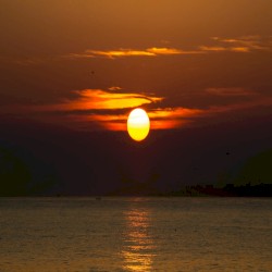 The Rise and Shine