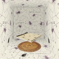Angels and Insects