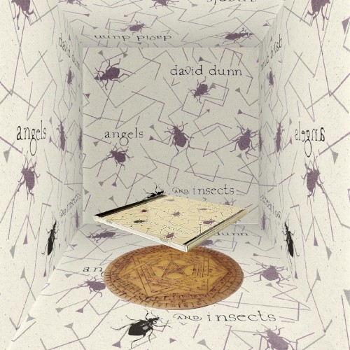 Angels and Insects