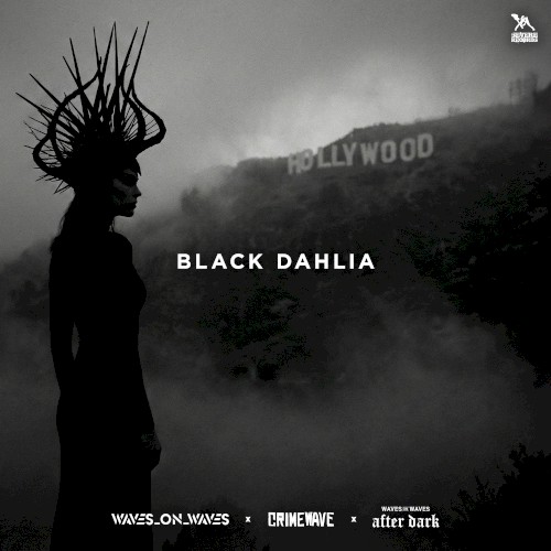 Black Dahlia