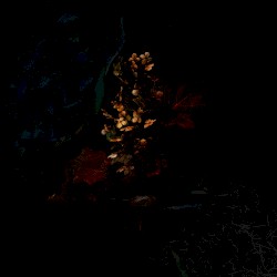Still Life+