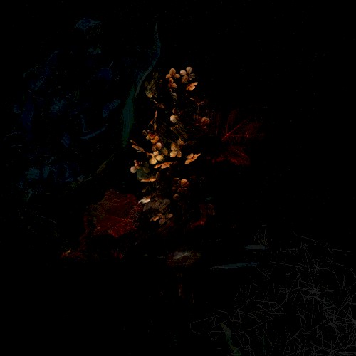Still Life+